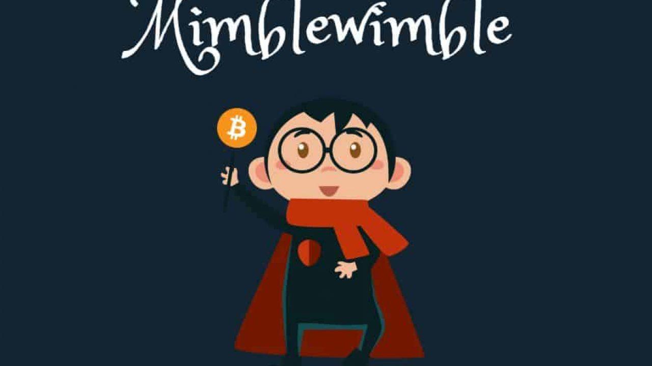 Do You Know About MimbleWimble Blockchain?